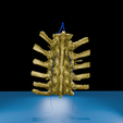 0005.png 逼真的胸椎与肋骨 3D 可打印解剖模型