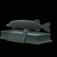 Pike-statue-29.png fish Northern pike / Esox lucius statue detailed texture for 3d printing