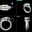 Screenshot-2023-09-30-192414.png Dragon ouroboros ring