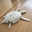 White-3D-printed-parametric-OpenSCAD-braille-sea-turtle-counting-abacus-with-articulated-flippers-ta.jpg Braille Sea Turtle Counting Abacus. Print in Place Articulated Turtle with Sliding Number Tiles in the Shell Rim and Braille Word Plate, Parametric OpenSCAD, with Flexi Braille Turtle Variant