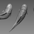 4.jpg Dunkleosteus - 3D Printable Prehistoric Creature - 3 Poses 3D print model