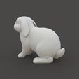 Rabbit_2.3.jpg Rabbit