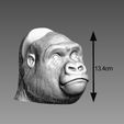 Gorilla-head-Ps5-controller-stand,-Monkey-head-ps5controller-holder,-Gorilla-bust-ps5-controller-Sta.jpg Gorilla head Ps5 controller stand, Monkey head ps5controller holder, Gorilla bust ps5 controller Stand, Perfect Gamer Gift, a295 (1)