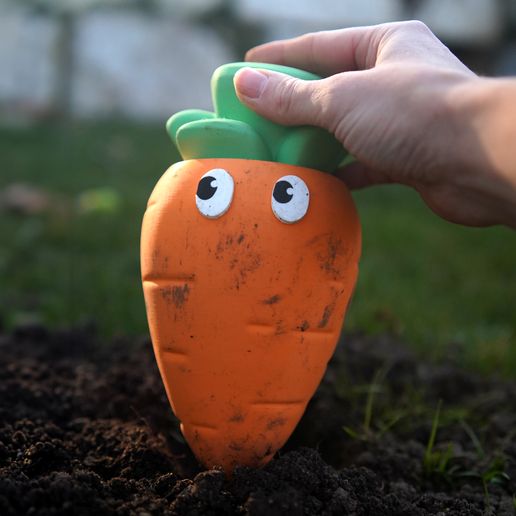 carotte13.jpg Carlo the Carrot Container