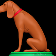 3.png Lady Bird - Le roi de la colline