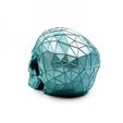 IMG_5274.jpg Archivo STL Cráneo Voronoi Low Poly・Idea de impresión 3D para descargar, sliceables