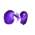 anatomy_of_the_airways.stl anatomy of the airways - Anatomy of the lungs