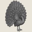 Peacock-Bird-07.jpg Птица павлин