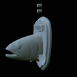 Rainbow-trout-solo-model-open-mouth-1-35.png fish head trophy rainbow trout / Oncorhynchus mykiss open mouth statue detailed texture for 3d printing