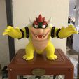 Bowser des jeux Mario - Multicolore