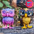 6.jpg CUTE FELXY OWL BIRD FEMALE AND MALE (TWO VERSION)