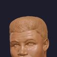 Muhammad-Ali-detail.jpg Muhammad Ali sculpted figure