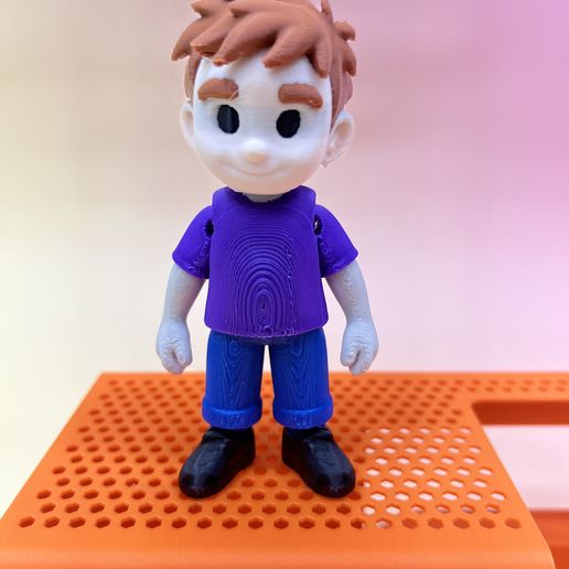 Flexi Boy 3D Model – Pre-Colored STL – Articulated Arms, Legs, and Head – Multi-Color Print Ready 3D model