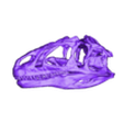 Dinosaure 06 Crâne Allosaurus.obj Allosaurus skull