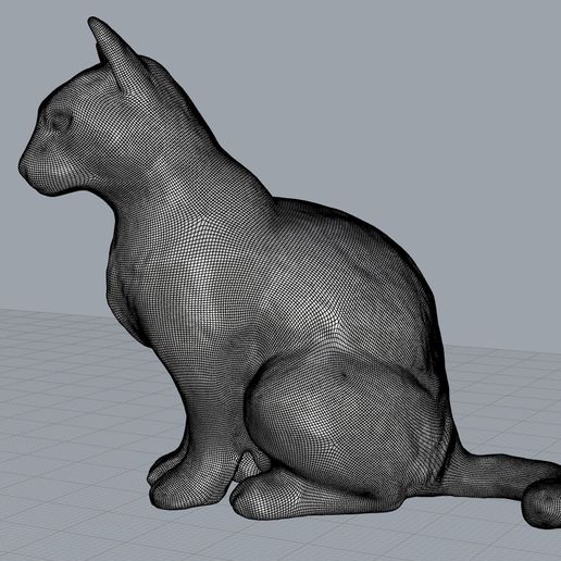 Sit_mesh.jpg Sitting Cat