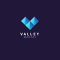 valley3dprintss