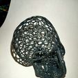 IMG20201203222929.jpg Voronoi Skull 3D print model