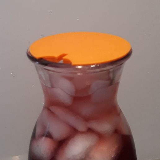 20180505_092951.jpg Lid / Ice cube retention for IKEA VARDAGEN Carafe - Reteneur de glaçons