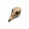 WhatsApp-Image-2026-06-12-at-13.16.30-1.jpeg 10 Skull STL Bundle | 3D Printable Skull Collection | Dragon, Human, Beast & Horned Skull Models | Instant Download