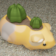Maru1.png Guinea pig pot
