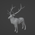 screen.png Cerf Low Poly