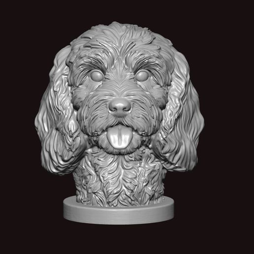 cockerpoo face bust