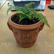 quita_esa_tierra_202603212215.png Ancient Roman Pot - Classic Vase Planter