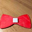 IMG20211115184750.jpg bow tie,Papillon Voronoi PLAY BOY