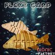 FLEXI-CARP-LOGO-2.jpg FLEXI CARP