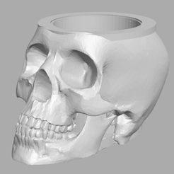 cran1.jpg skull pencil holder