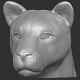 1.jpg Lioness head for 3D printing