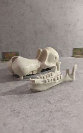 IMG_20200620_110529_781.jpg goffy skull