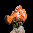 Nestor,-the-Clownfish-5.jpg Nestor, the Clownfish