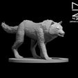 Dire_Wolf_ad.JPG Misc. Creatures for Tabletop Gaming Collection