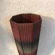 IMG_4013.jpg Jwizard’s Decorative Octo Vase – 4/5/22