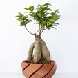 Vase_01_Bronze_03.jpg Macetero - Planter - - Jardinera impresa en 3D - 3D printed planter