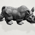 Rhino - C02.png Rhinoceros 01 Male