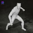 6.jpg Black Panther Action Figures Custom 3D Print Model