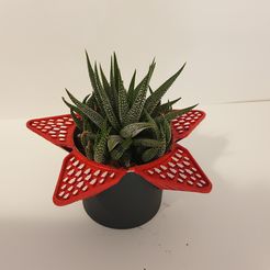 primera-foto.jpg Free STL file Stranger Things Demogorgon Planter・3D print design to download