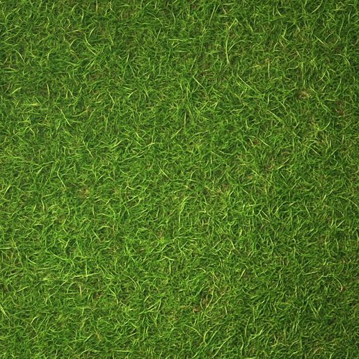 🌱 Grass PBR Texture・ 3D File for ・Cults