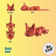FLEX-CAT-4.jpg ARTICULATED CAT - CAT
