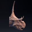 Diabloceratops_head_5.jpg Diabloceratops head