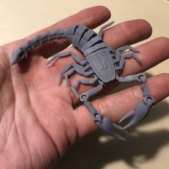 Scorpion articulé