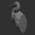 17.jpg Grey Heron bust