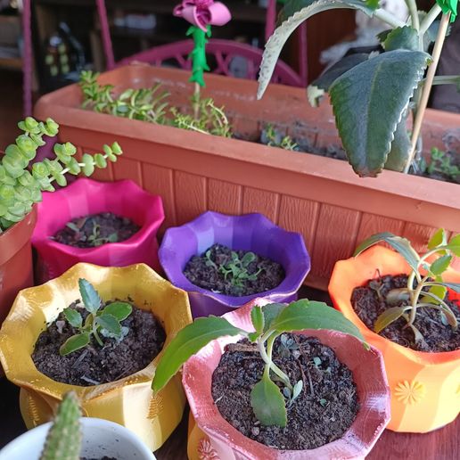 Macetero Diseño Neocid 3D model