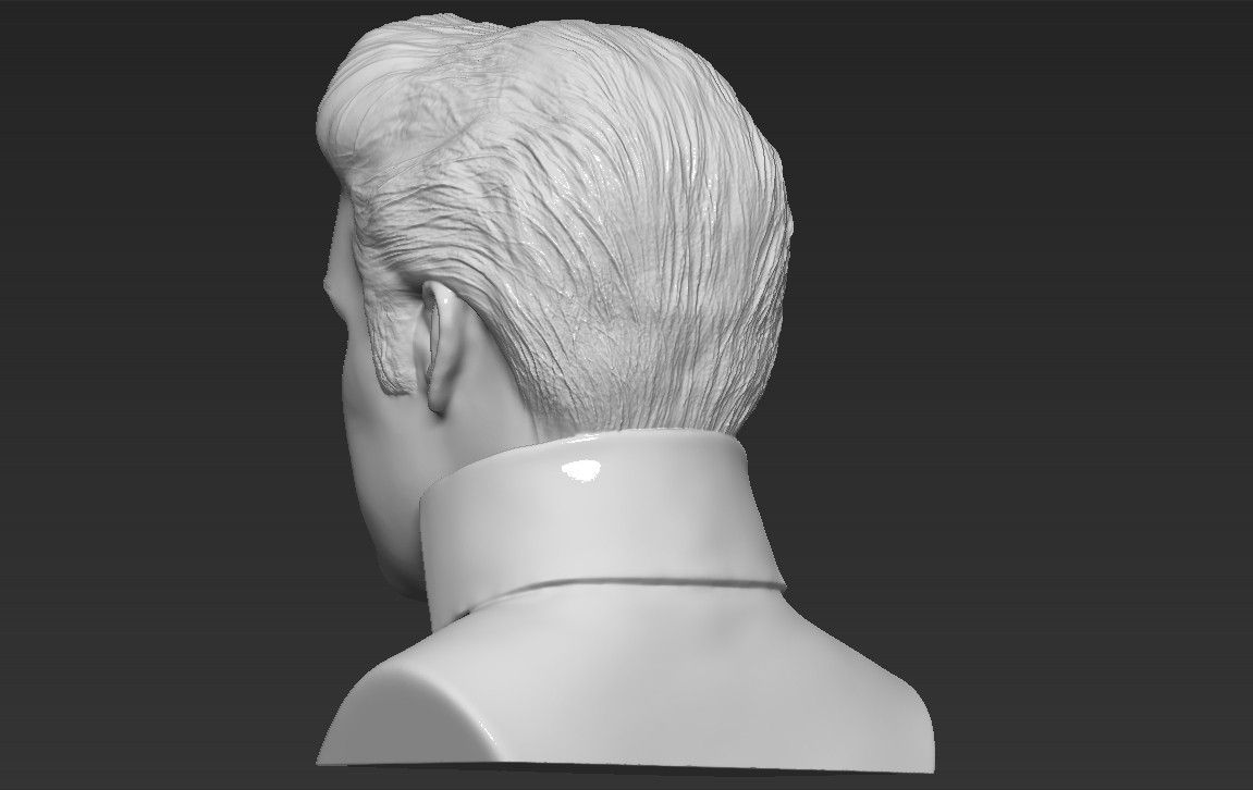 5.jpg 3D file Elvis Presley bust 3D printing ready stl obj・Template to download and 3D print, PrintedReality