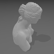 Screenshot-2023-06-12-205159.png Venus de Milo Head Bust