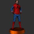 Preview17.jpg Spider-man - Homemade Suit - Homecoming 3D print model
