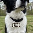 0a50cb69-4bde-45b1-b7c0-69b4ffeaebd2.jpg Dog Tag I.D Charm Bundle
