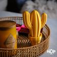 vet, : + | vr LLL Li a * Bonitos cactus para decorar el hogar - Print in Place
